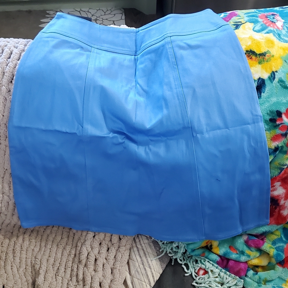 Chaus Sky Blue Garment